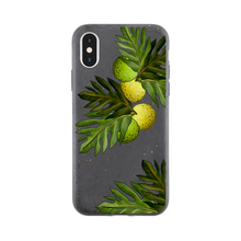 Load image into Gallery viewer, Bio case - Bread Fruit (Kuru)
